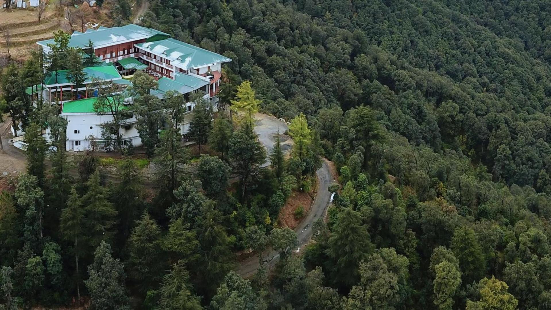 Treehouse Chail Villas Екстериор снимка